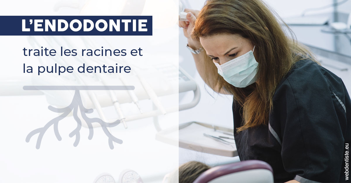 https://dr-potard-marie.chirurgiens-dentistes.fr/L'endodontie 1