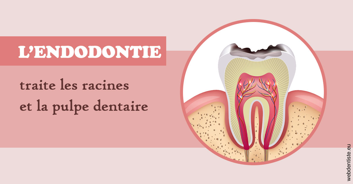 https://dr-potard-marie.chirurgiens-dentistes.fr/L'endodontie 2