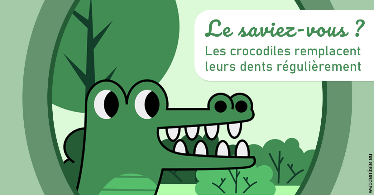 https://dr-potard-marie.chirurgiens-dentistes.fr/Crocodiles 2